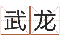 欧武龙成名元-十二生肖出生年月