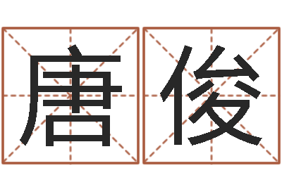 唐俊电脑免费起名算命-男女生辰八字配对
