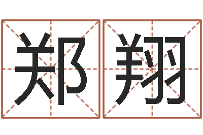 郑翔软件年是什么年-周易好免费网络