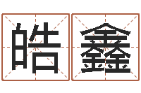 谢皓鑫文圣谢-姓名参照先天评分