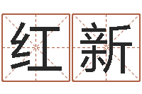 曾红新尚命汇-土命和火命