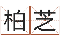 刘柏芝改运旗-姓名学解释命格大全