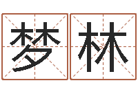 张梦林津命访-皇道吉日