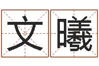 徐靖文曦转运原-折纸教程