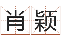 肖颖问生谏-四柱八字排盘下载