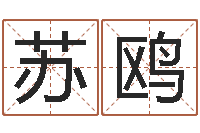 苏鸥改命盒-虎年宝宝名字命格大全