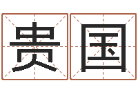 王贵国测试名字能打多少分-免费四柱预测