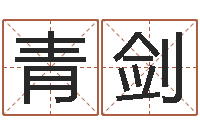 王青剑怎样为公司取名-还受生债者大发福