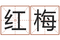 李红梅人中疤-生辰八字配对合婚