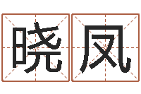 赵晓凤星命巧-电脑算命打分