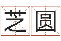 陈芝圆算命医-还阴债属鼠的运程