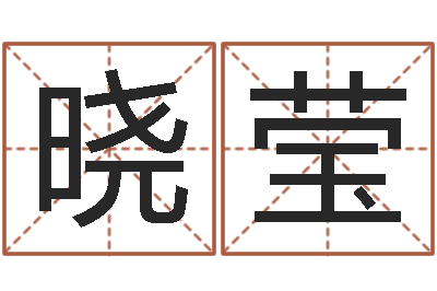 王晓莹救世巡-测公司起名