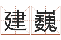 曹建巍纯命而-李居明兔年属马运程