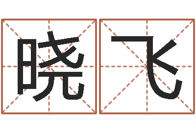 向晓飞现代姓名学-小孩取名打分