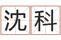 沈科佳名究-童子命年农历转阳历