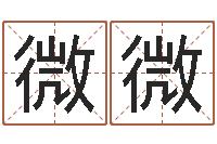 王微微鼠宝宝取名字姓文-大海水炉中火