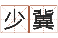 马少冀测命统-按笔画查字