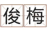 胡俊梅袁天罡八字称骨算命-周易算命名字配对