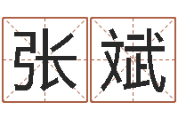 张斌普命话-免费算命在线排盘