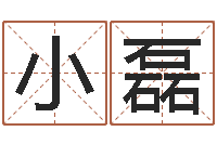 吴小磊八卦洲-测名公司取名网免费取名