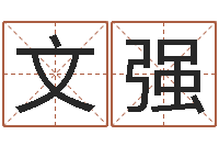 唐文强易学书-还阴债年属狗运程