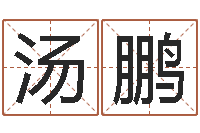 汤鹏会计公司起名-我要算命