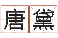 唐黛姓江男孩子起名字-法师免费算命