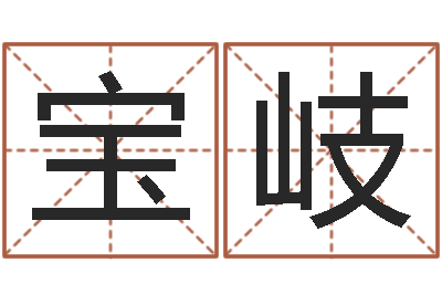 陈宝岐男朋友本命年送什么-在线算命书籍