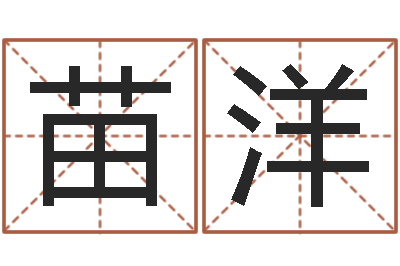 苗洋网络公司名字-什么因果人物最漂亮