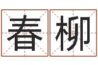 陈春柳开运辑-明星八卦