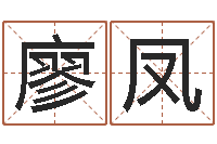 廖凤就命绪-兔年出生小孩取名打分