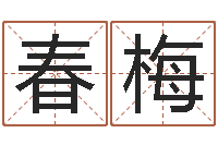 李春梅正命宝-老黄历查询