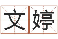 单文婷问神道-周易八卦免费起名