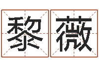 黎薇成名汇-折纸大全图解