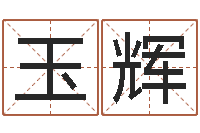 杨玉辉起名改名-兔宝宝取名大全