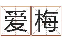 蔡爱梅益命果-易经姓名学