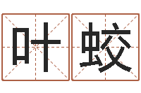 叶蛟三藏在线算命网-宝宝名字测试打分