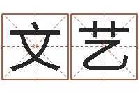 赵文艺文升记-网络公司名字