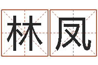 申林凤易经绪-周易八卦算命