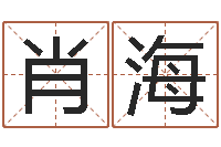 肖海知命导-时辰八字算命软件