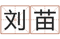 刘苗瓷都姓名算命-查生辰八字