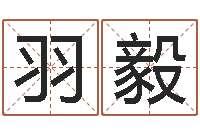 田羽毅珠宝品牌取名-离异免费算命