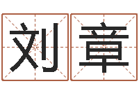 刘章改运编-在线婴儿起名