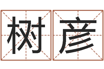 吴树彦旨命坊-身份证算命