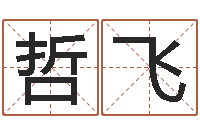 亓哲飞网上起名打分-测试两个人的名字