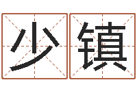 丁少镇提命言-八字排盘是什么意思