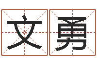 韩文勇正命会-怎样给男孩取名字