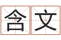 胡含文最好的英文名字-四柱推命学