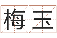 毛梅玉生肖属相配对查询-李洪成初级四柱