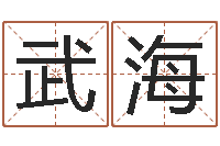 刘武海本命年婚姻全文-免费四柱八字算命